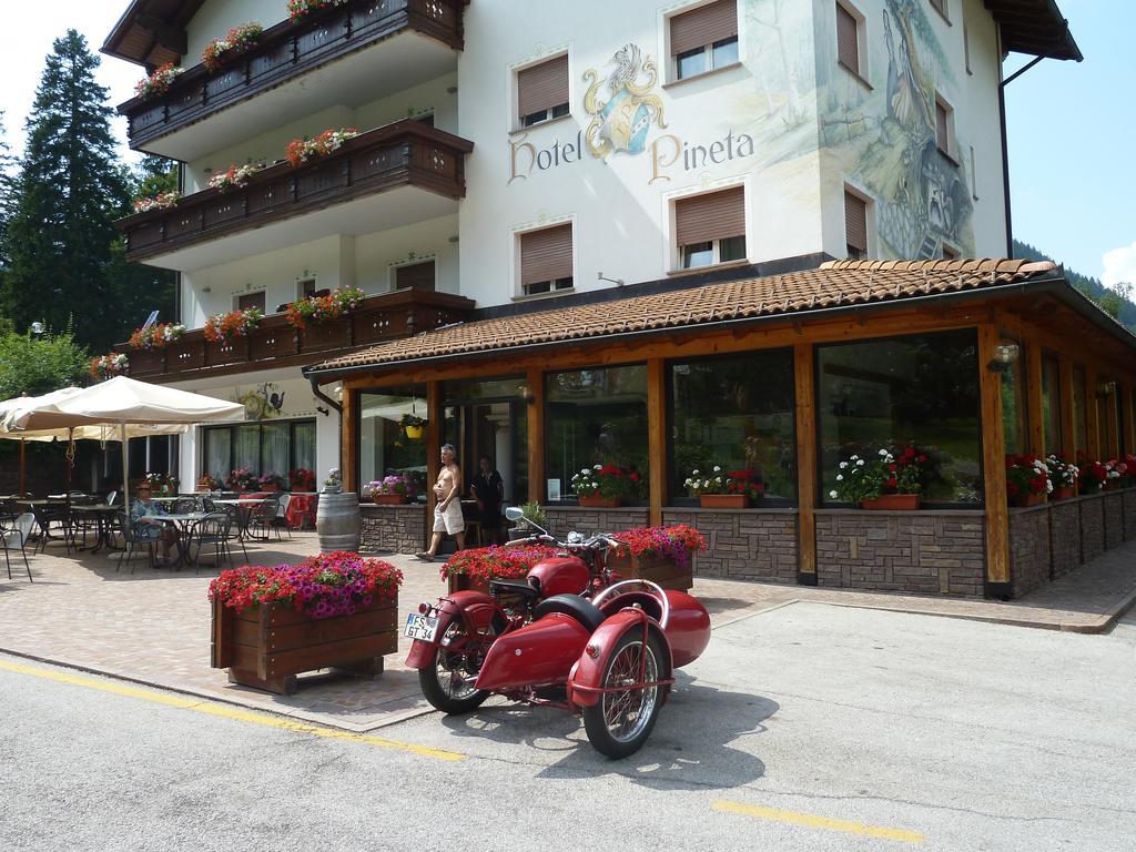 Hotel Pineta Базельга-ди-Пине Экстерьер фото