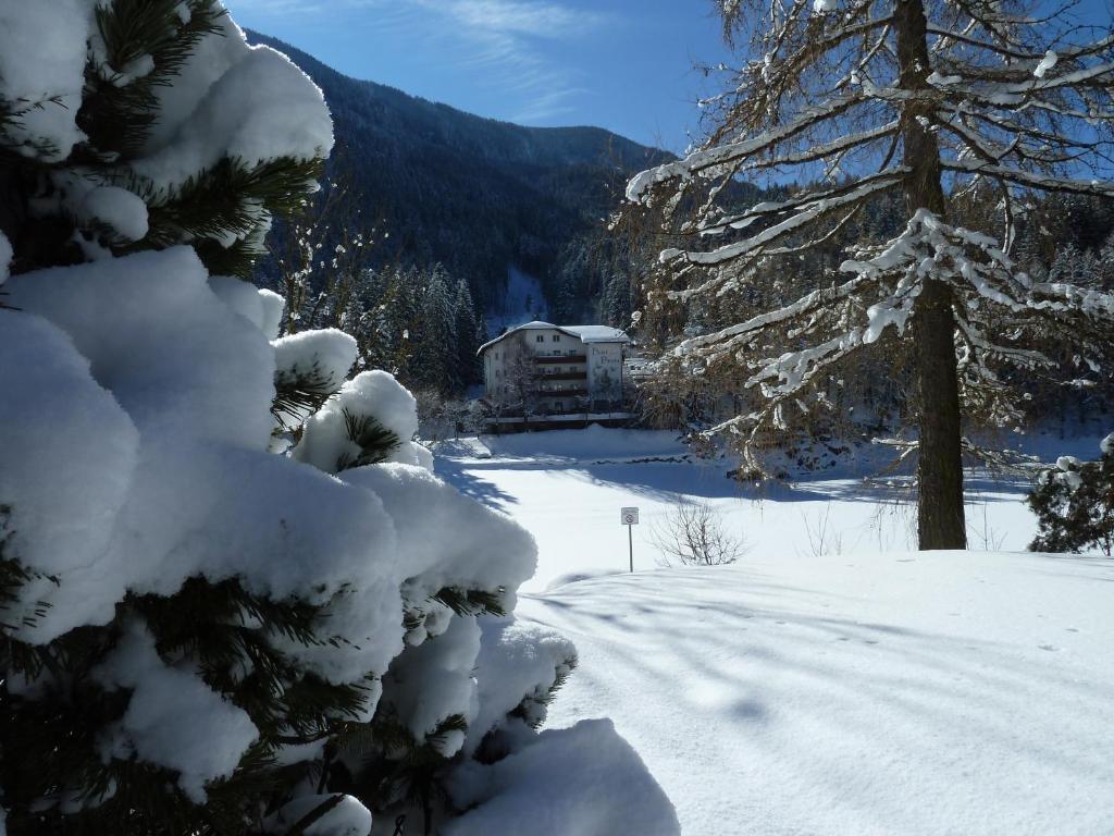 Hotel Pineta Базельга-ди-Пине Экстерьер фото